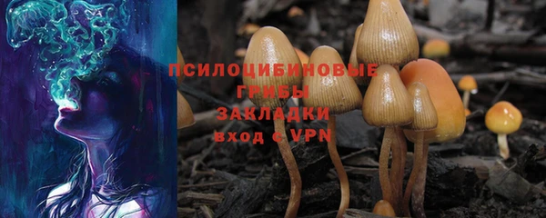 не бодяженный Алзамай
