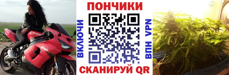МЕГА онион  купить  цена  Новомичуринск  Бошки Шишки конопля 